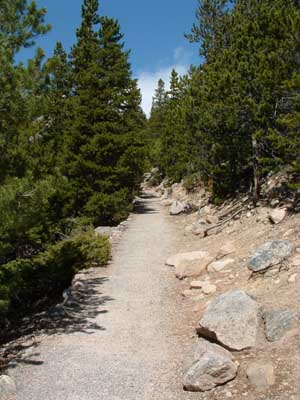 Photo of hiking trail