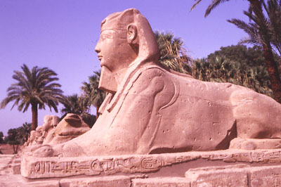 Photo of statue in front of Luxor Temple
