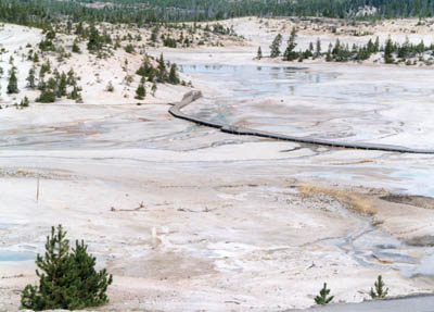 photo overview of a boardwalk path at Mammoth Hot Spring