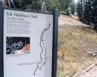 Photo of Mount Washburn Trailhead
