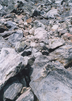 Photo of rocks on Cascade Canyon Trail