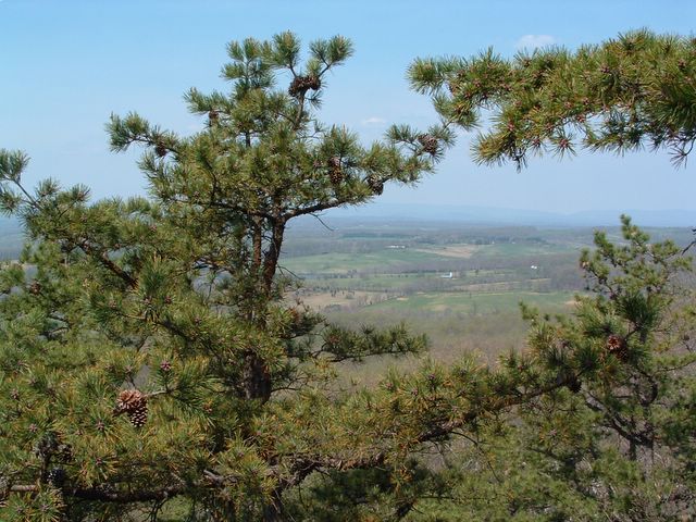 photo of vista, Bull Run Mountain Conservancy Trail