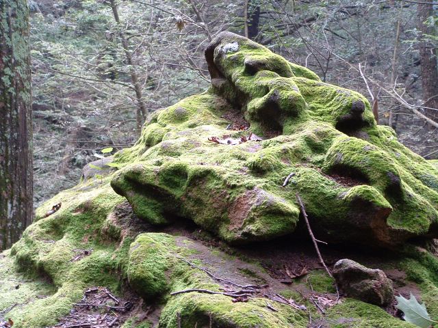 photo of mossy rock on the Appalachian Trail, Pennsylvania