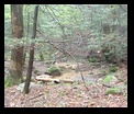 photo of the Appalachian Trail