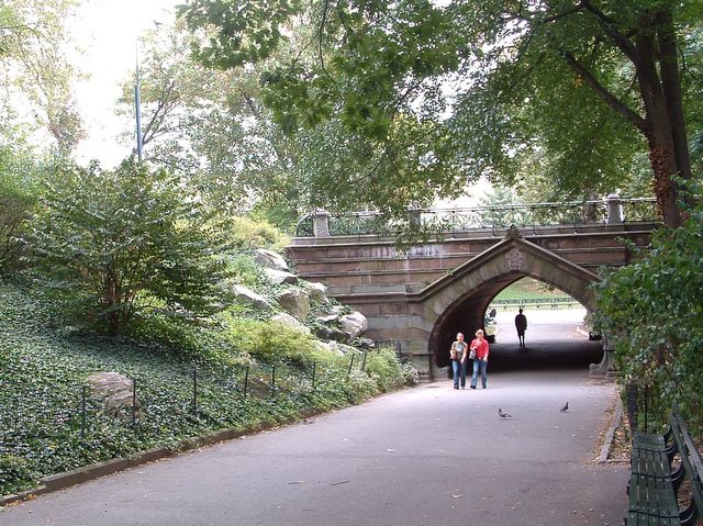 Central Park, NYC photo