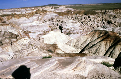 Photo of Petrified Forest National Park by John Hunter