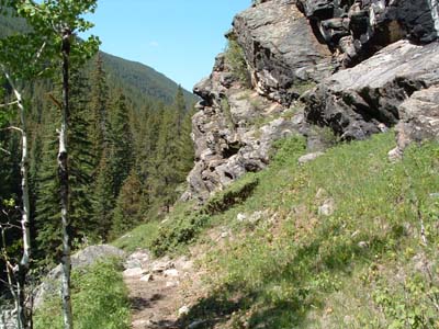 Photo of Cascade Falls trail
