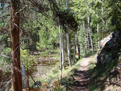 Photo of Cascade Falls trail