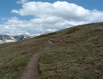 Photo of Alpine Ridge Trail