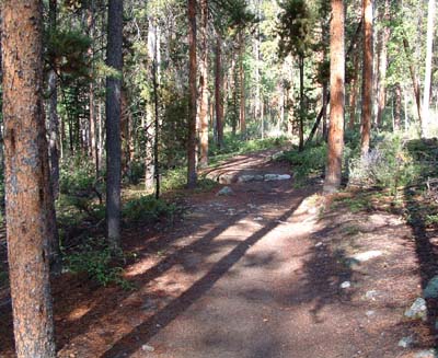 Photo of Cascade Falls trail