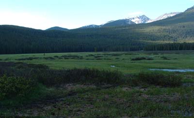 Photo of the Big Meadow