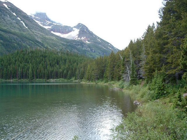 Swiftcurrent Lake photo