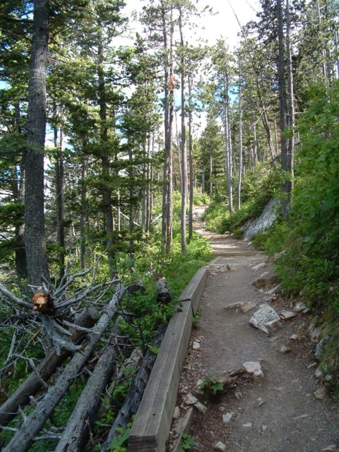 photo of Bear's Hump trail