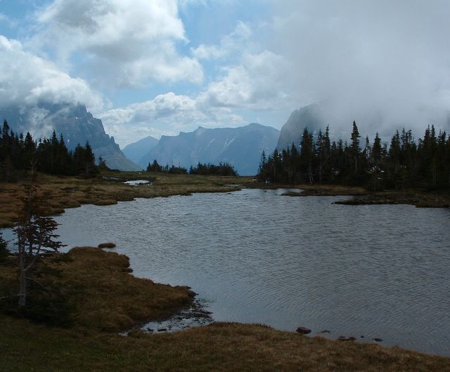 photo of pond