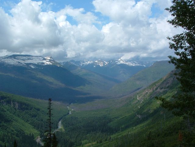 photo of valley from Going to the Sun Road