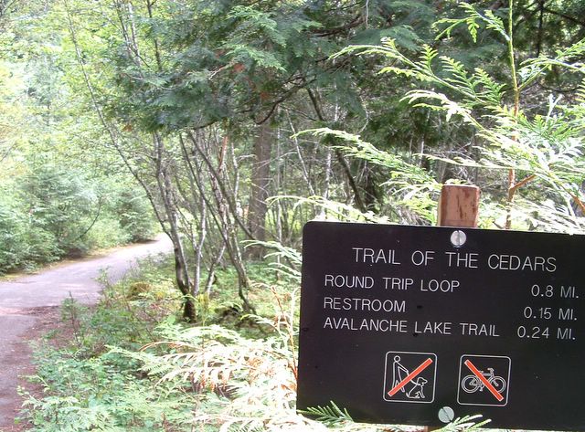 photo of Trail of the Cedars trailhead