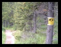 Bear warning on the lake trail (bears had been spoted a couple times in the last few days on the trail)