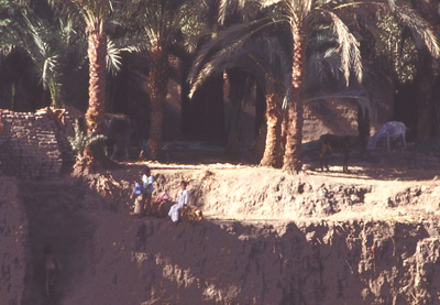Photo of people on the bank of the Nile