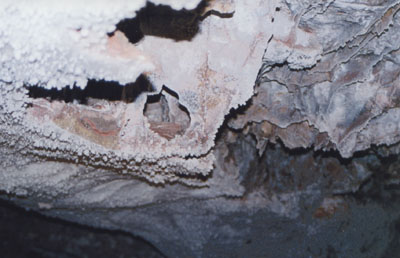 Photo inside Wind Cave by John Hunter