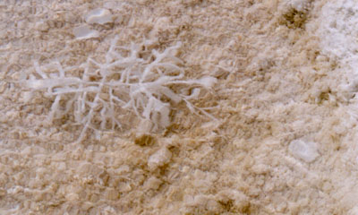 photo of crystal formation in the hot spring water