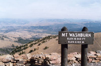 Mount washburn yellowstone national park best sale