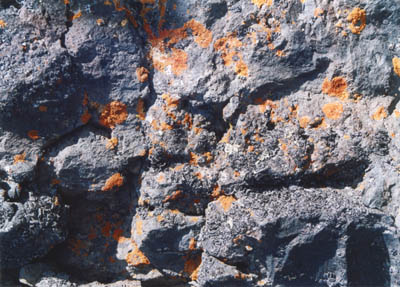 Photo of rocks and lichen