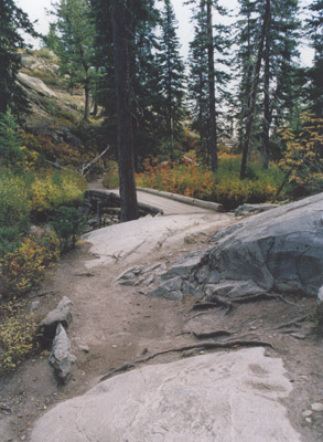 Photo near Jenny Lake as trail begins