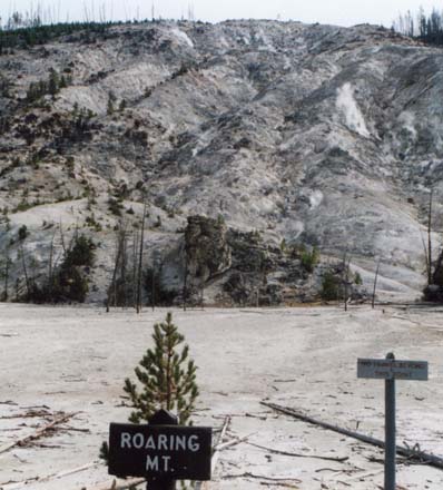 Photo of Roaring Mountain in Yellowstone