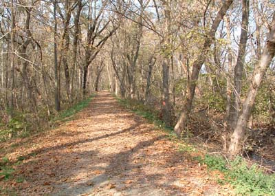 Photo of the towpath