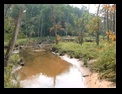 Mason Neck Bay Trail