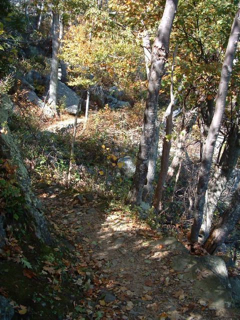 Marys Rock trail in the fall