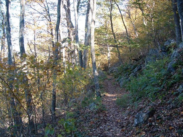 Hawksbill Gap Trail, Shenandoah National Park