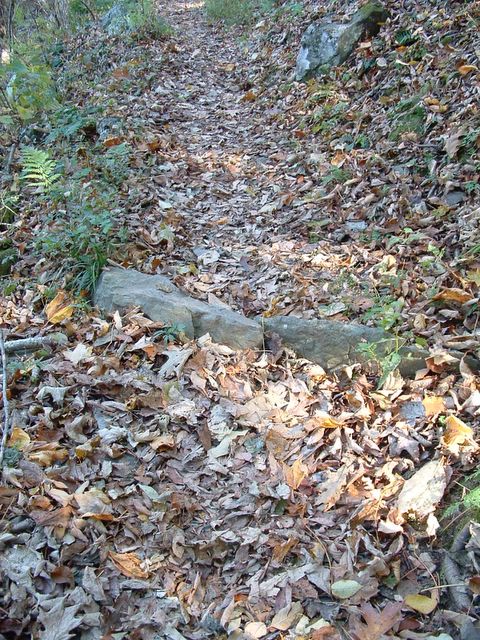 Hawksbill Gap Trail, Shenandoah National Park