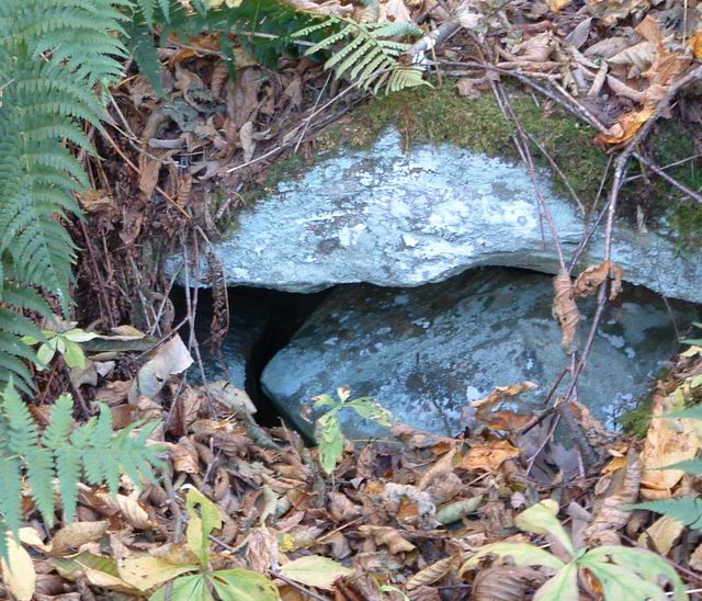 Stones along the Hawksbill Gap Trail, Shenandoah National Park