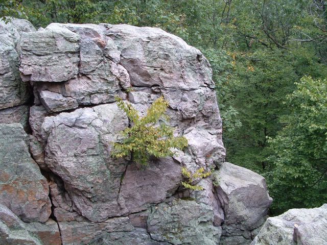 photo of rock outcropping on the Appalachian Trail, PA, USA