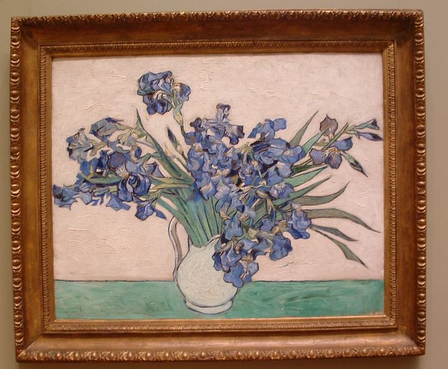 photo of  Irises by Vincent van Gogh at the Metropolitan Museum of Art, NYC