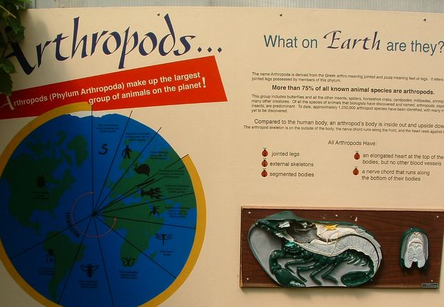 photo of anthropod sign at Cypress Gardens