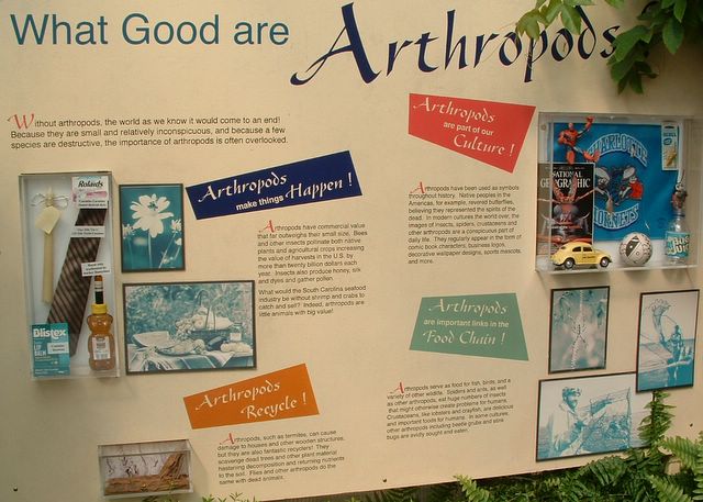 photo of anthropod sign at Cypress Gardens