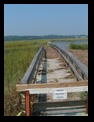 Huntington Beach State Park, SC