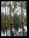 Cypress Gardens, SC