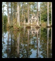 Cypress Gardens, SC