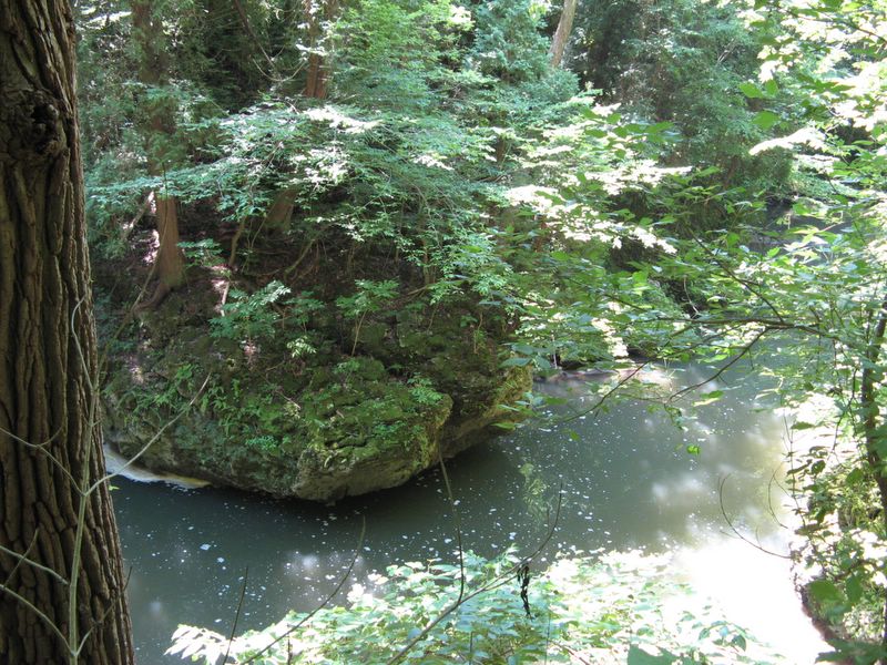 Clifton Gorge State Nature Preserve