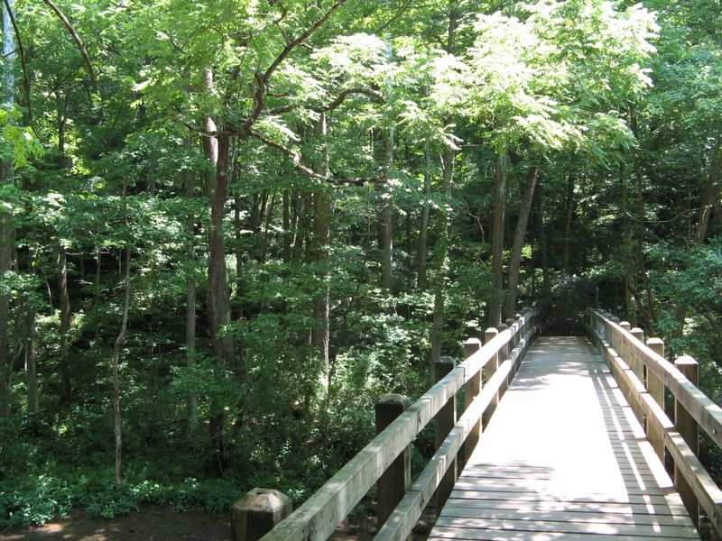 bridge in John Bryan State Park