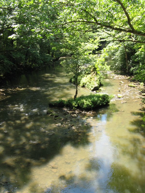 river from bridge in John Bryan State Park