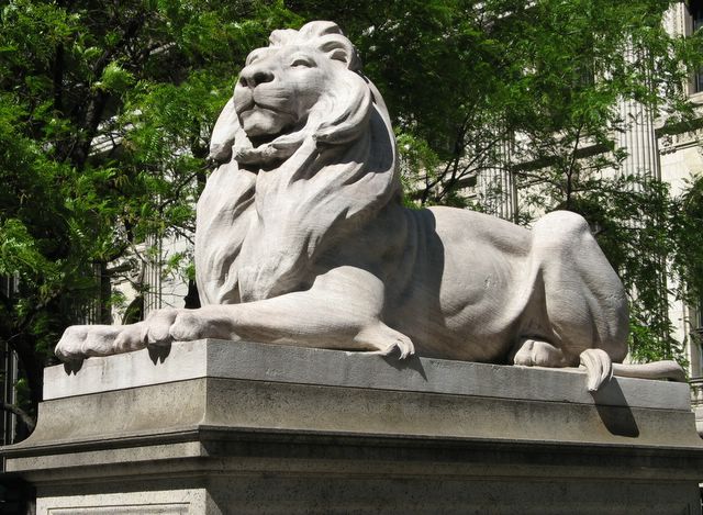New York Public Library Lion photo