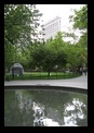 Madison Square Park, Flatiron Building - NYC